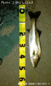 �����Х�