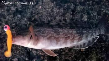 �����ʥ�