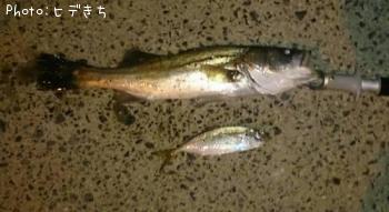 �����Х�