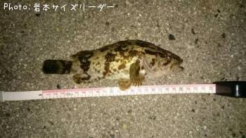 ¥¿¥±¥Î¥³¥á¥Ð¥ë