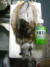 �����ꥤ��