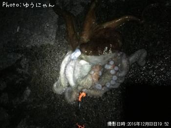 �����ʡ�