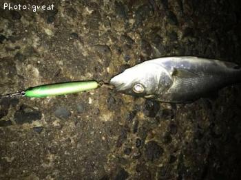 �����Х�