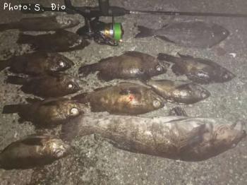 �����ʥᡢ��Х�