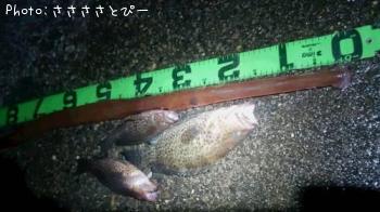 �����䥬����ϥ�