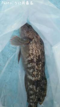 �����ʥ�