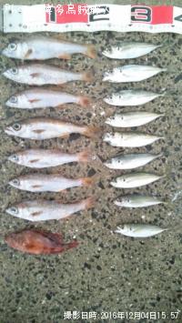 ��ġ�������������