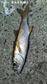 ��ġ�������������