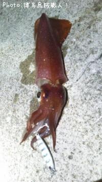 ��ġ�������������