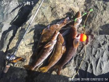 �����ʥ�