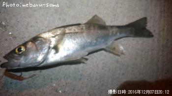 �����Х�