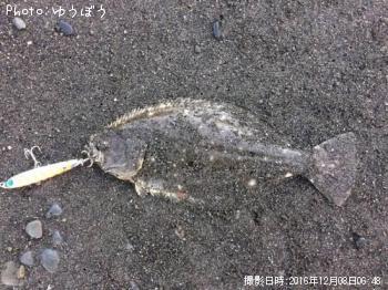 �ҥ��ʥ�����