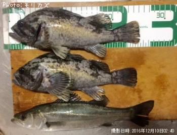 ���������ȥ�����