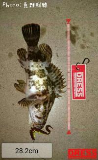 �٥å�������