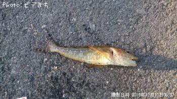 �ϥ��äݤ�����