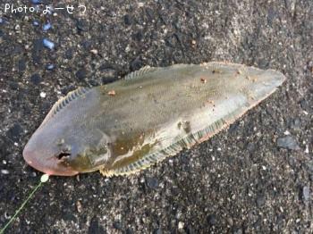 �����Υ���