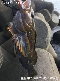 �����ʥ�