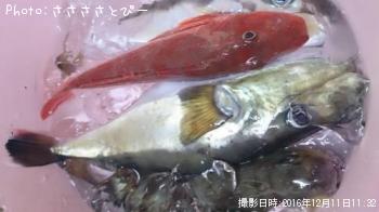 ¥µ¥Ð¥Õ¥°¡õ¥¨¥½¡õ¥Û¥¦¥Ü¥¦