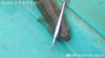 ¥µ¥Ð¥Õ¥°¡õ¥¨¥½¡õ¥Û¥¦¥Ü¥¦