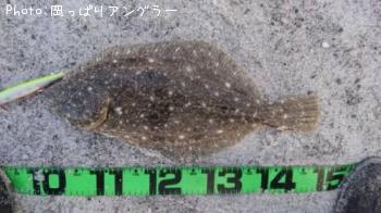 �ҥ�������