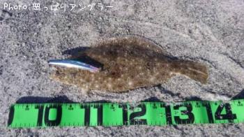 �ҥ�������