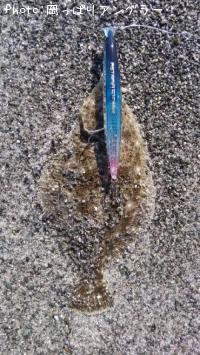 �ҥ�������