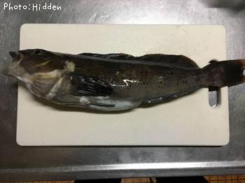 �����ʥ�