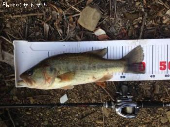 �֥�å��Х�