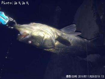 �����Х�