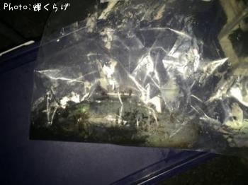 �����ꥤ��