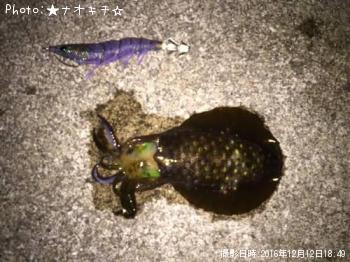 �����ꥤ��