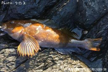 �����ʥ�