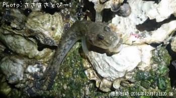 �ϥ�������