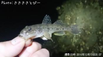 �ϥ�������