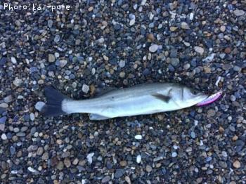 �����Х�