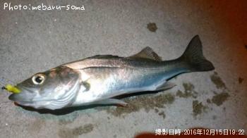 �����Х�