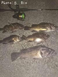 ������������饽������Х�