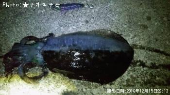 ¥¢¥ª¥ê¥¤¥«