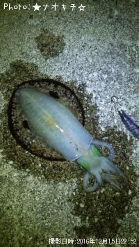 ¥¢¥ª¥ê¥¤¥«