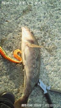 �����ʥ�