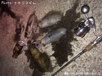 �����ꥤ��