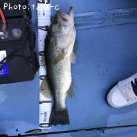 ¥Ö¥é¥Ã¥¯¥Ð¥¹