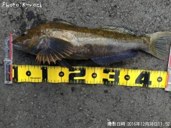 �����ʥ�