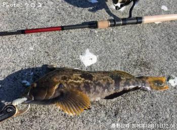 �����ʥ�