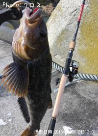 �����ʥ�