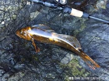 �����ʥ�