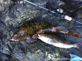 �����ʥ�