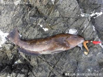 �����ʥ�