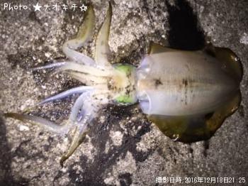 �����ꥤ��