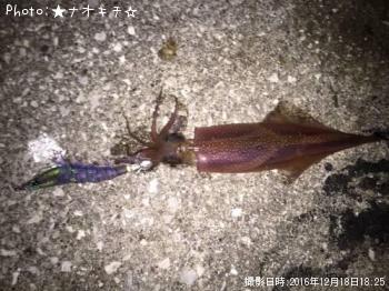 �����ꥤ��